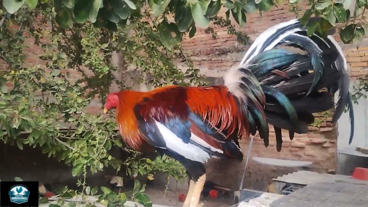 De rancho la Union para Rancho La Palma 