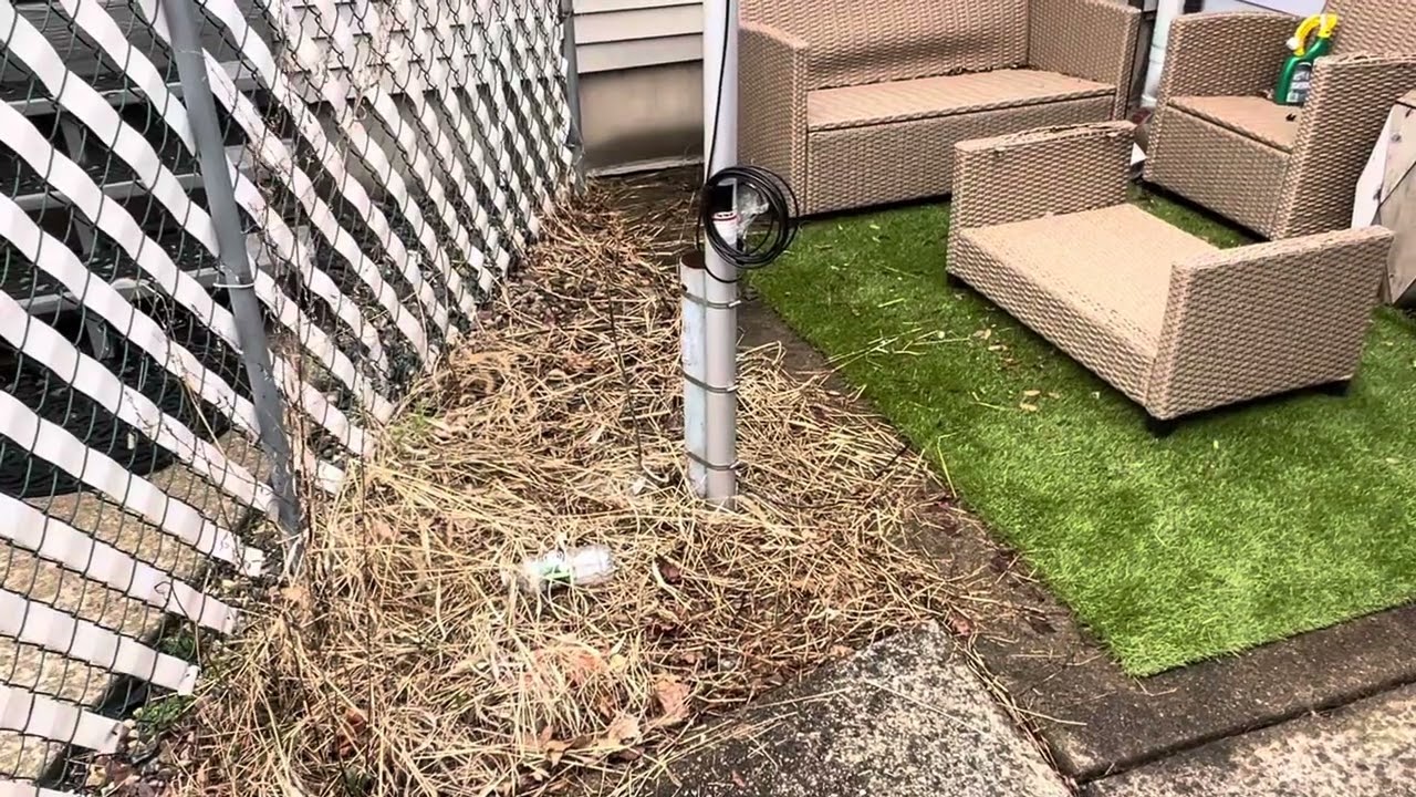 20ft Telescopic Flag Pole. $89 Harbor Freight 4.11.2024 WRWP511