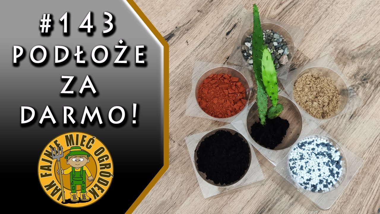 #143 Jak zrobić podłoże do kaktusów i sukulentów za darmo!