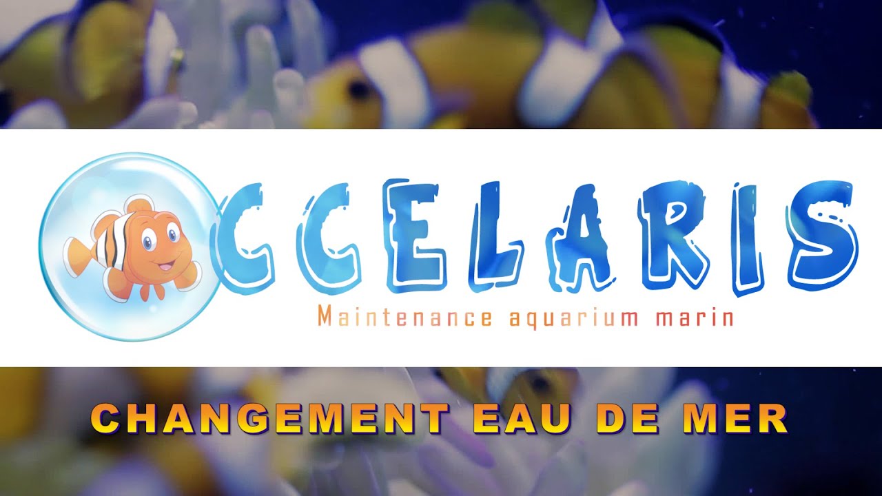 CHANGEMENT EAU DE MER chez OCCELARIS !!!