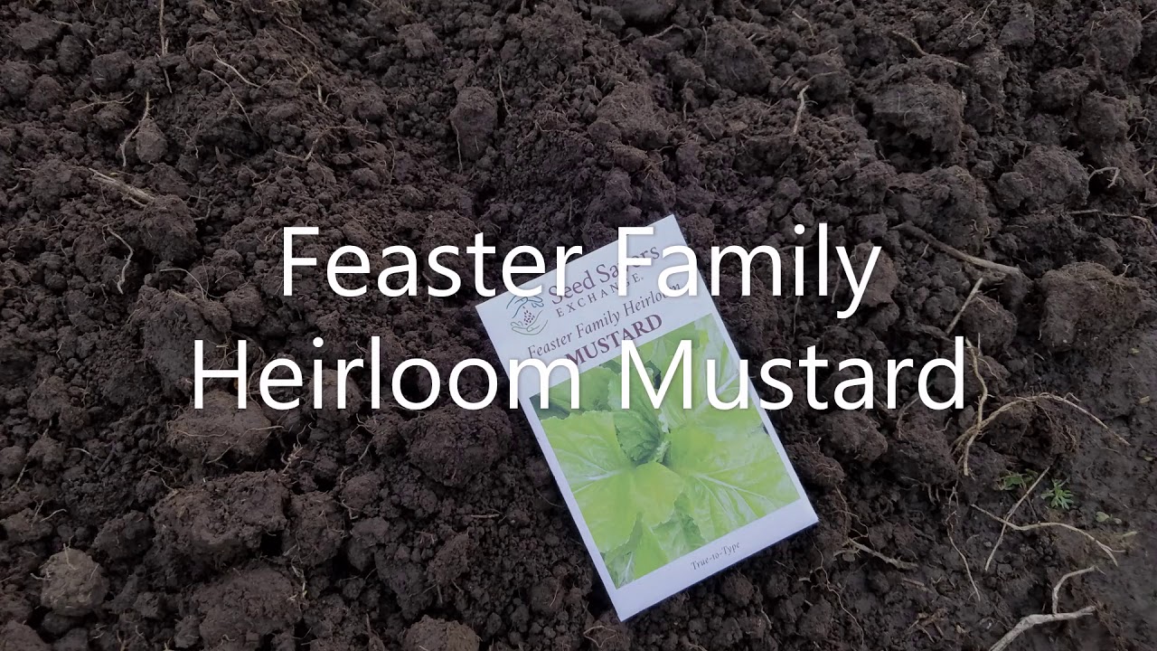 Late Winter Planting & Garden Update