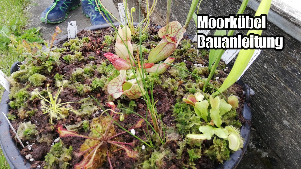 #21  Moorkübel mit Green Jaws anlegen