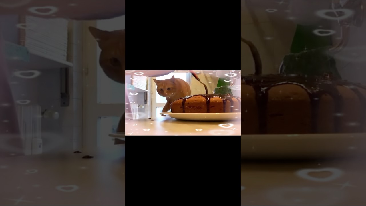Il dolce é servito…