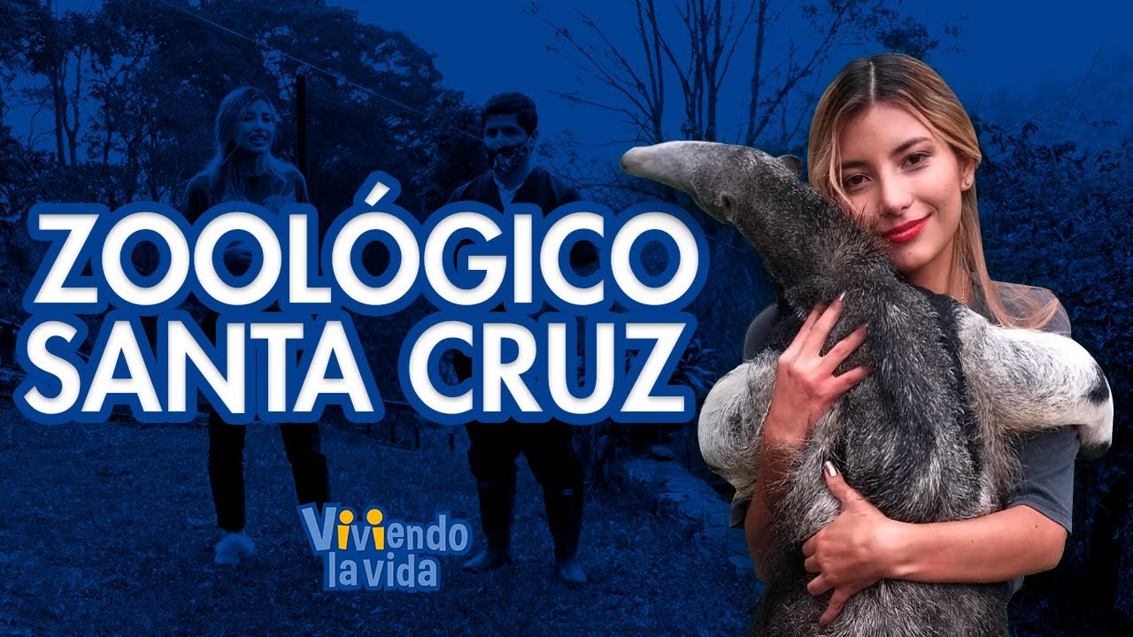 Fundación Zoológico Santacruz: un hogar para animales rescatados - Teleamiga