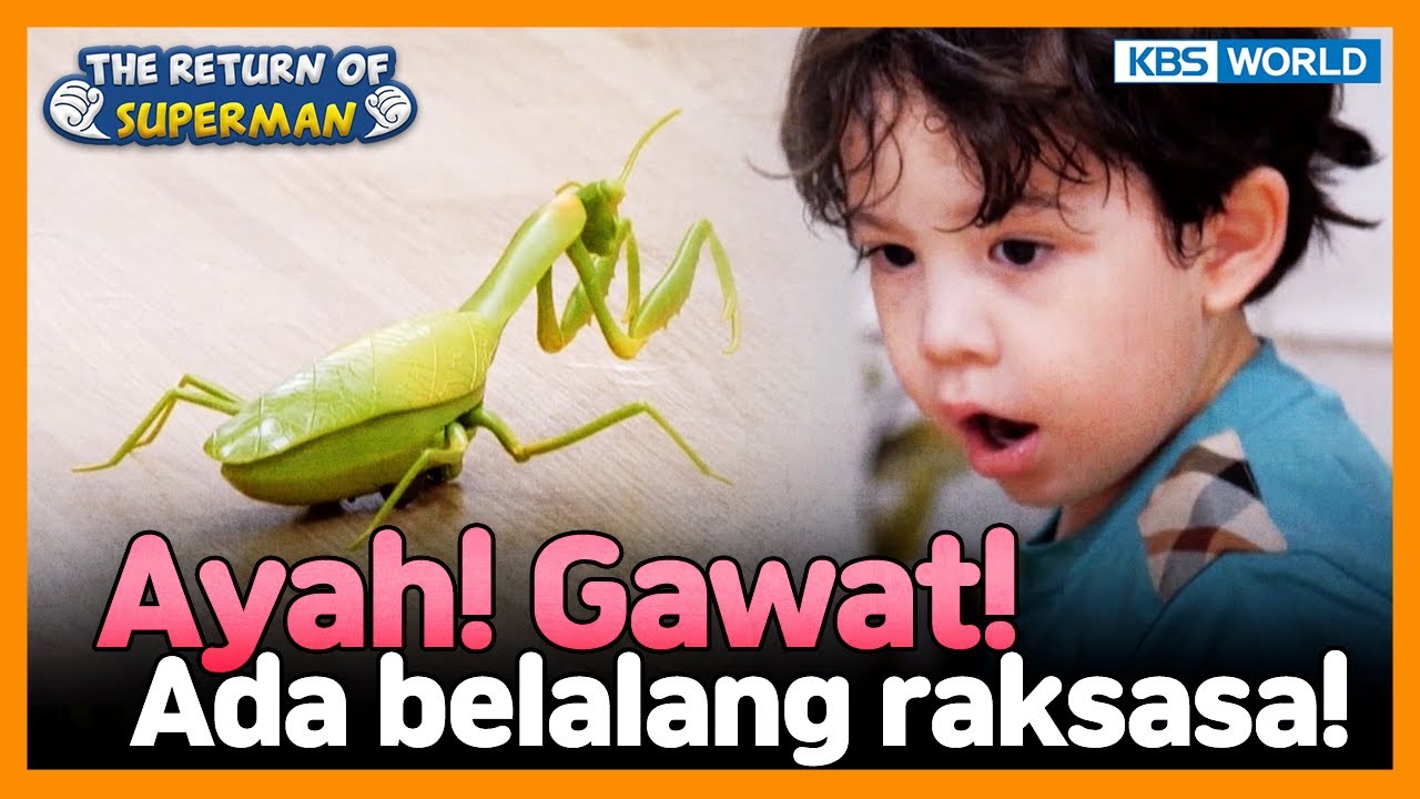 [IND/ENG] Ayah tolong! Ada belalang raksasa di rumah!! | Nostalgia Superman | KBS 210613