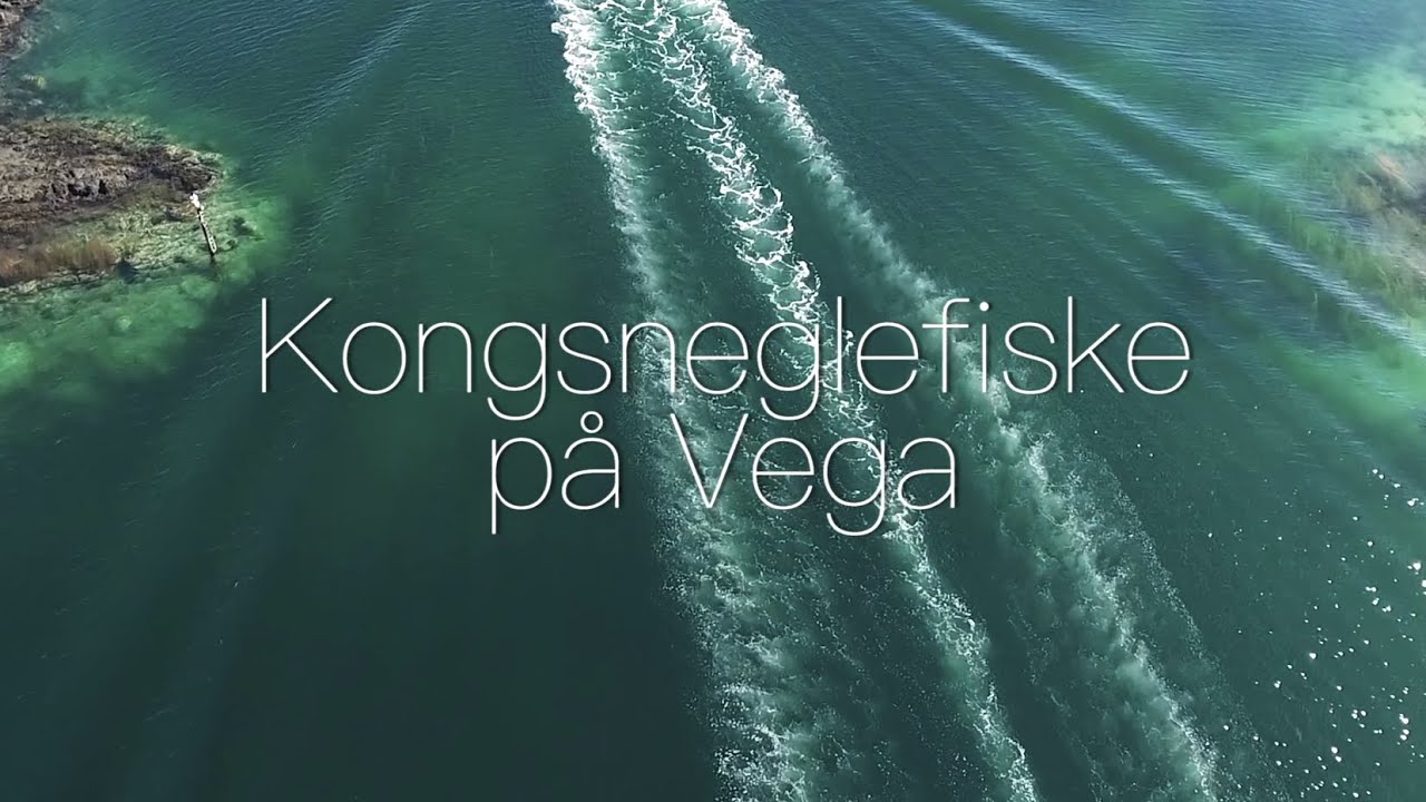 Kongsneglefiske - Fishing for whelk
