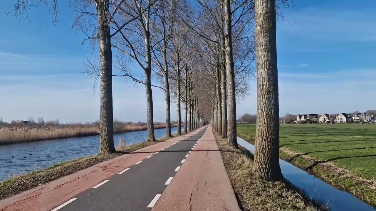Most Scenic Route to Run in the Netherlands on a Sunny Day | 5KM Recovery Run
