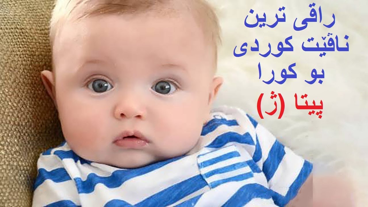 راقی ترین و جوان ترین ناڤێت کورکا پیتا (ژ) دگەل رامانا ناڤی