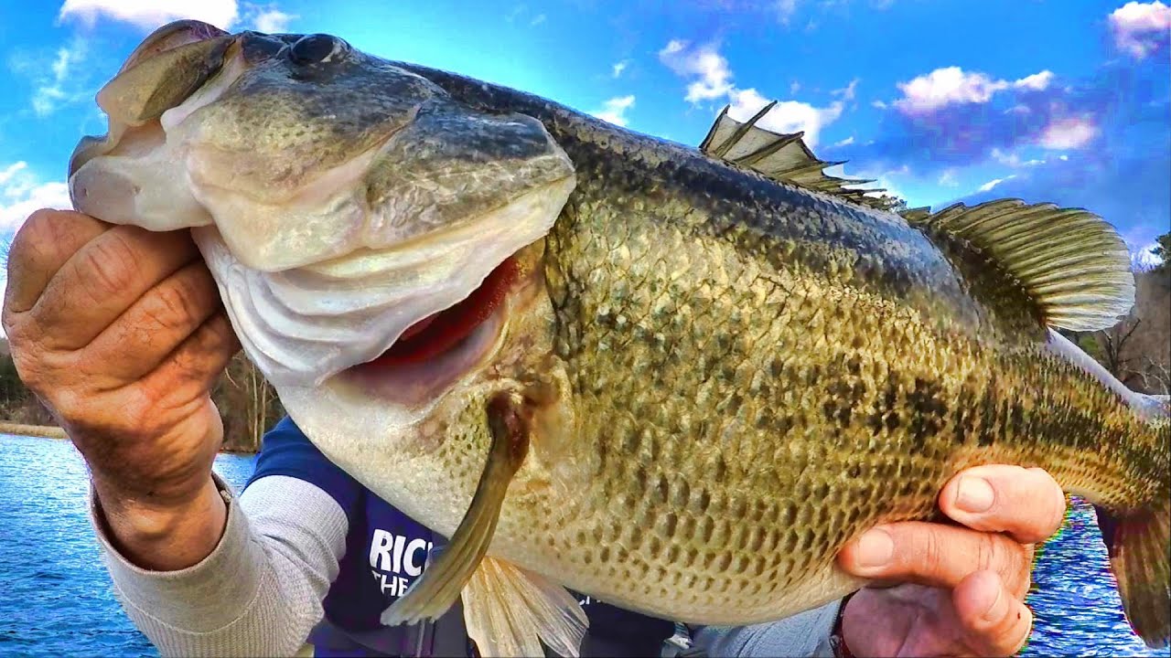 This Bait Catches Monsters! Easy Way To Catch Trophy Bass