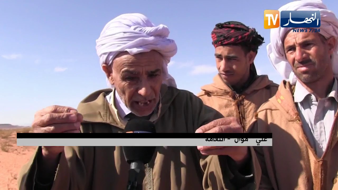 النعامة: موالو عين الصفراء يطالبون بفتح تحقيق على مستوى الديوان الوطني للحبوب