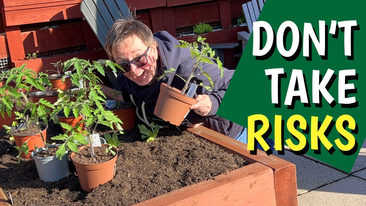 Hardening off: Transitioning plants from indoors or the greenhouse to the garden