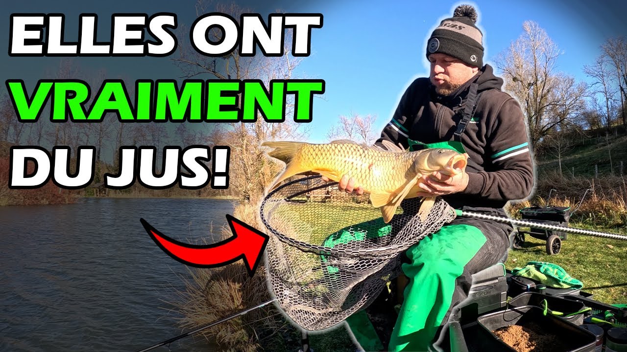 Pêche au Plomb VS Method Feeder en CARPODROME! Quelle sera la MEILLEURE Technique?