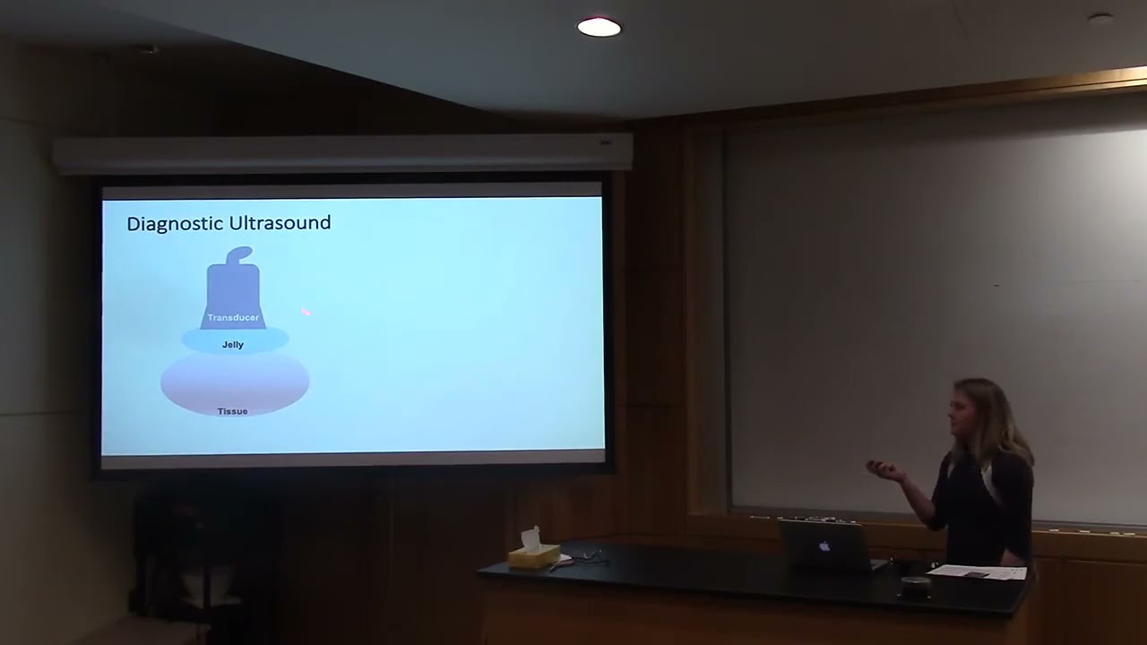 Katie Nottberg 2019 Affibody indocyanine green for imaging of B7 H3 expression in breast cancer I5NG