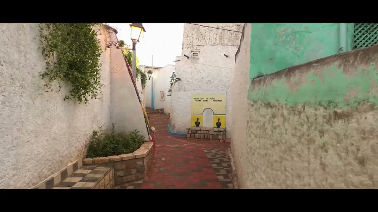 harar in air drone
