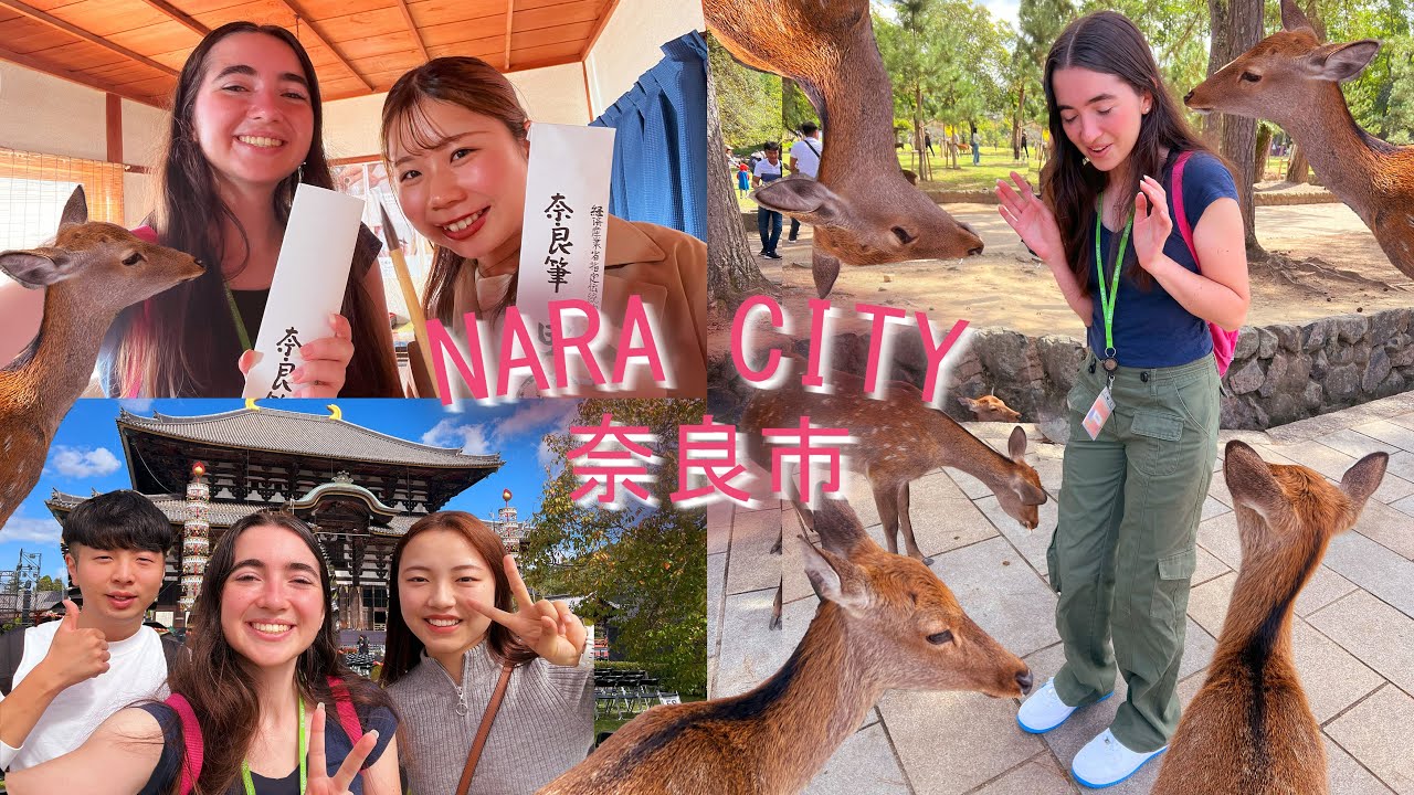 Attacked by deer in Nara! 奈良市で鹿バトル