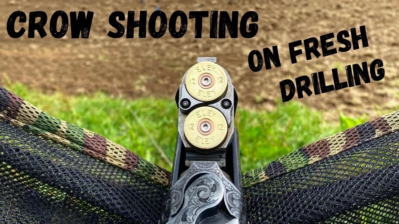 Crow Shooting over Decoys | Great Shooting | Crop Protection