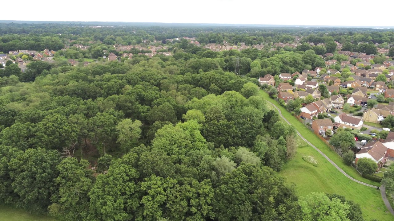 Views over Dogmersfield, Crookham Village, Fleet