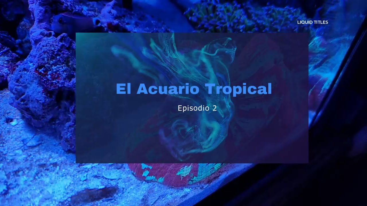 T1E2 (Podcast Acuarios y Mas) Tema: EL Acuario Tropical