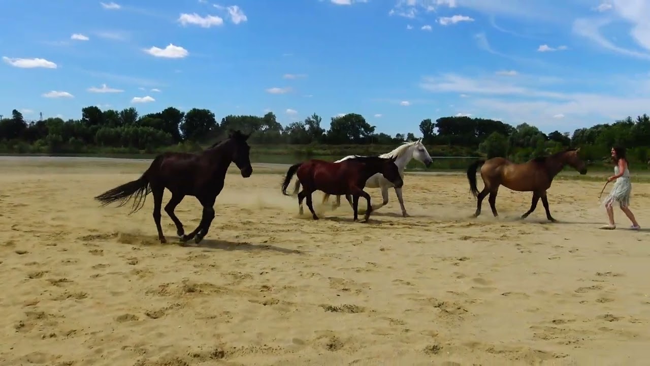 Vijart (beach) ~ Jana Vija & her horses