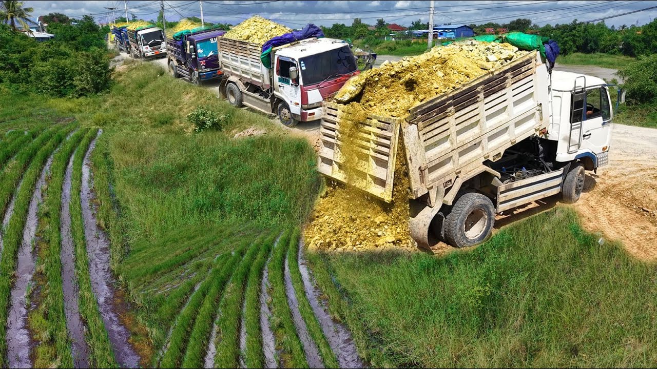 The Best Action Landfill New Project!Dump Truck Loading Delete Feild,By Dozer D31Skill Pushing Soil
