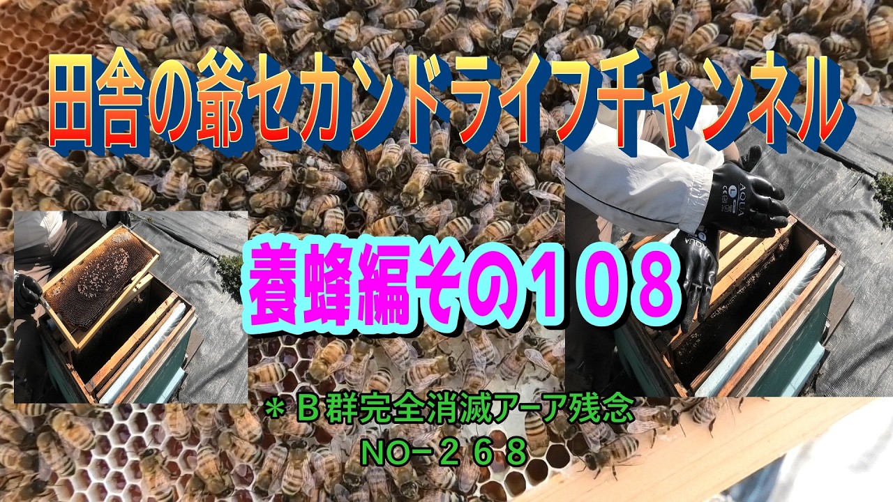 養蜂編その１０８