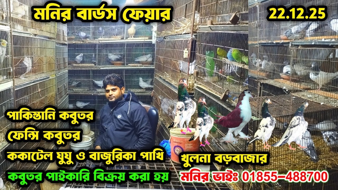 পাকিস্তানি ও ফেন্সি কবুতরের পাইকারি দোকান। best pigeon market in khulna borobajar। খুলনা বড়বাজার।