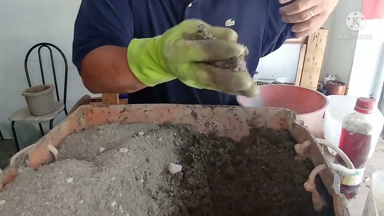 Vaso de Cimento Serragem e Areia