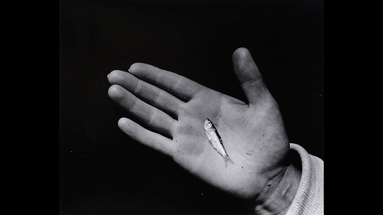 Lecture: Robert Mann on Aaron Siskind