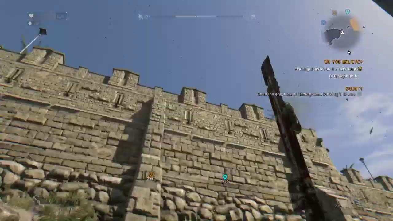 Dyinglight