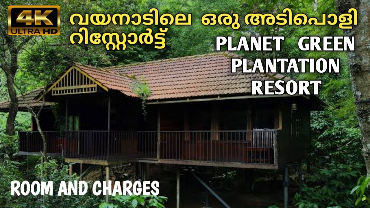 Tree House Resort in Wayanad | 4K UHD | Planet Green Plantation Resort | Couples and Family Stay