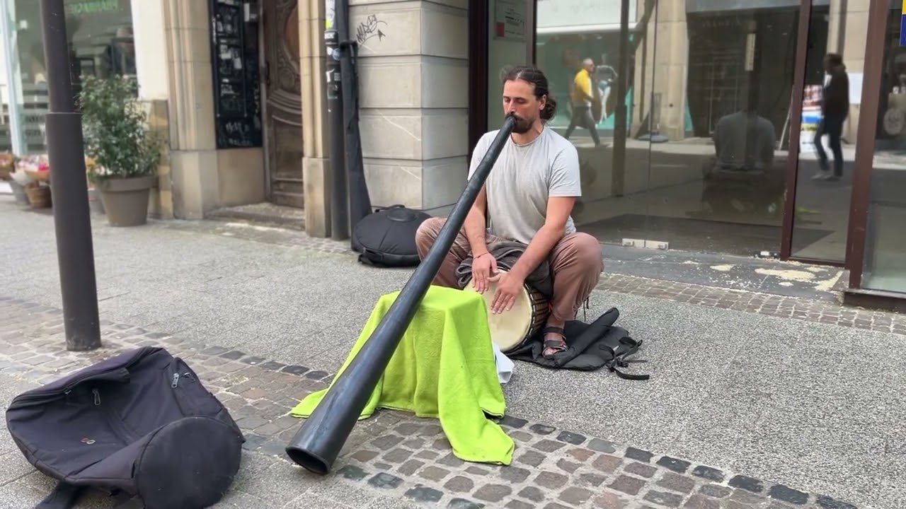 Unexpected didgeridoo effect | Pay attention to the dog