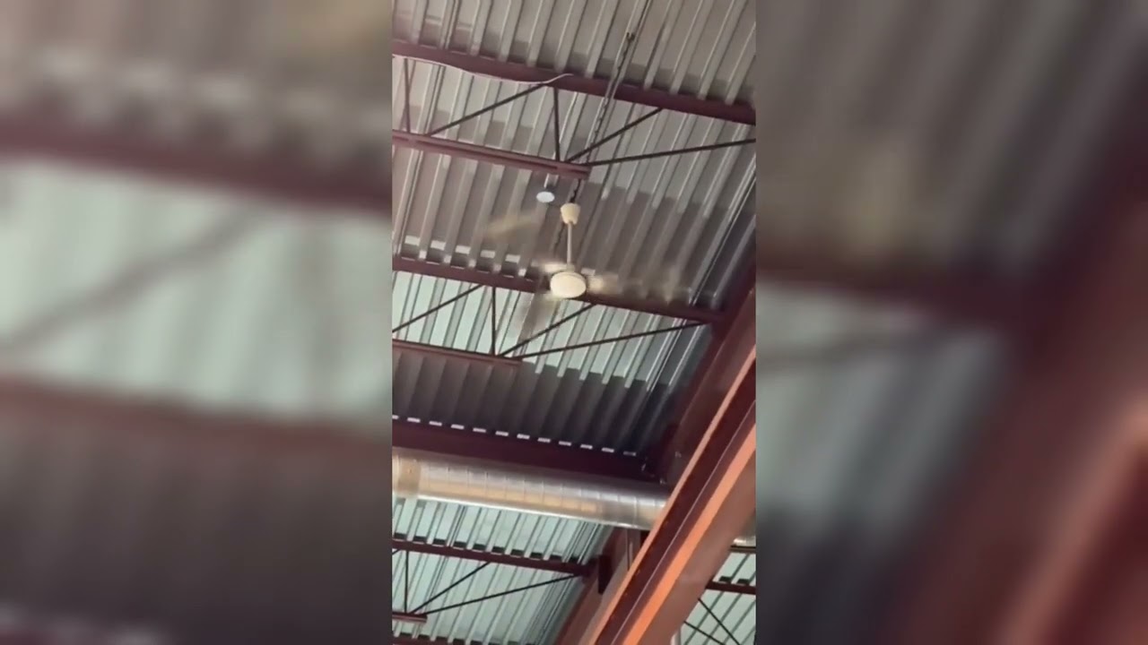 Industrial/Commercial Ceiling Fans in a warehouse