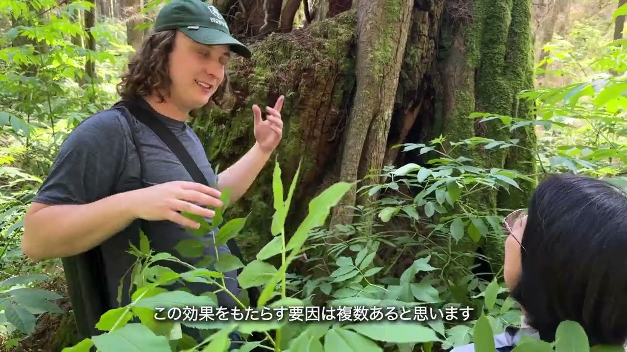 自然体の、カナダへ　スタンレーパークの森を歩く