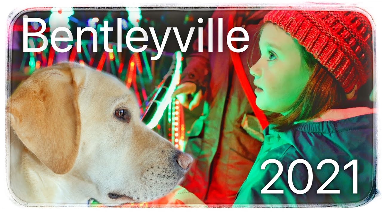 A Walk Through Lights With Our Autistic Girl And Her Service Dog | Autism Parenting (S4E104)