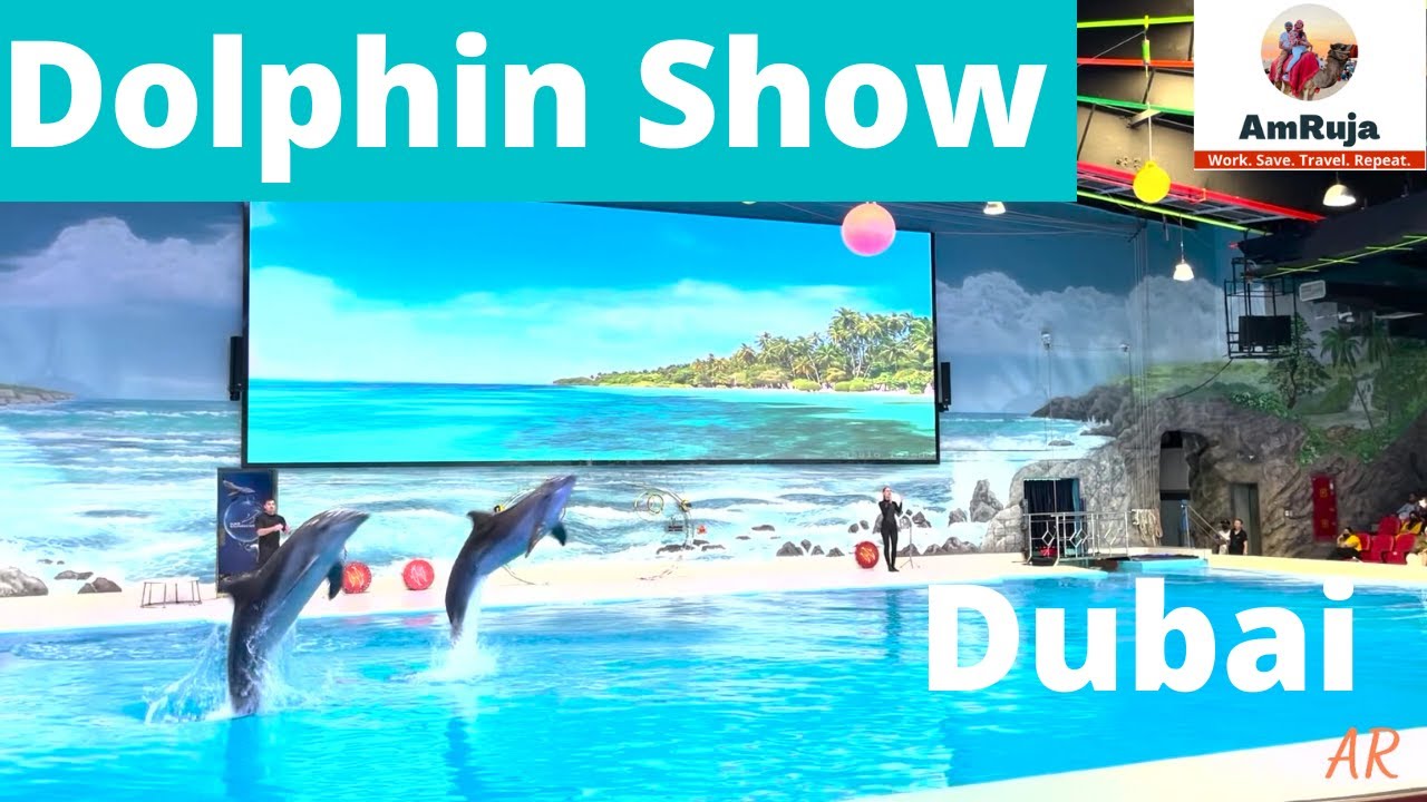 Dolphin show in Dubai | डॉल्फिन शो दुबई | Dolphinarium Dubai | Dolphin show   | Explore with Amruja