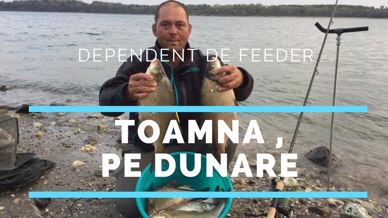 Pescuit la Dunare cu feeder toamna