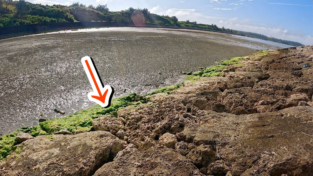 宮古島の干潟を歩いているとカニをむさぼる謎の生物が…
