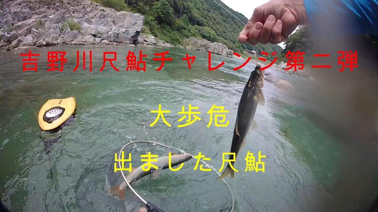 吉野川尺鮎チャレンジ大歩危