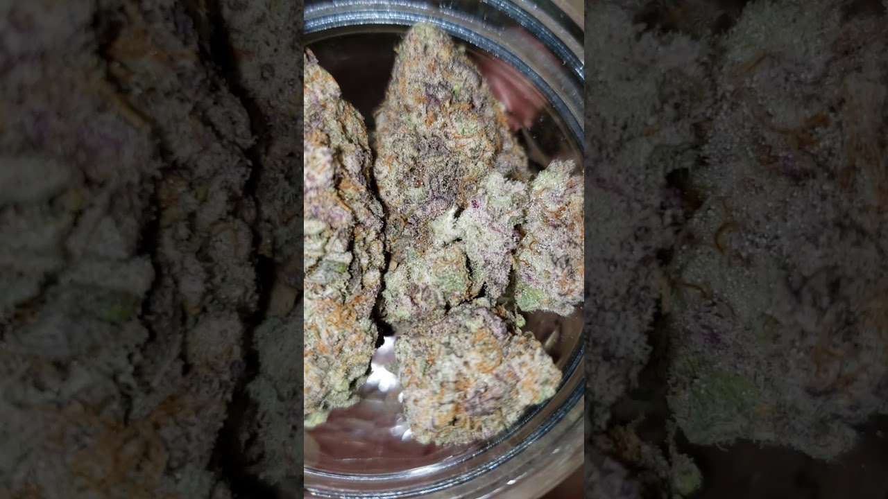 MAC & MINTZ! BY #BACKPACKBOYZ420