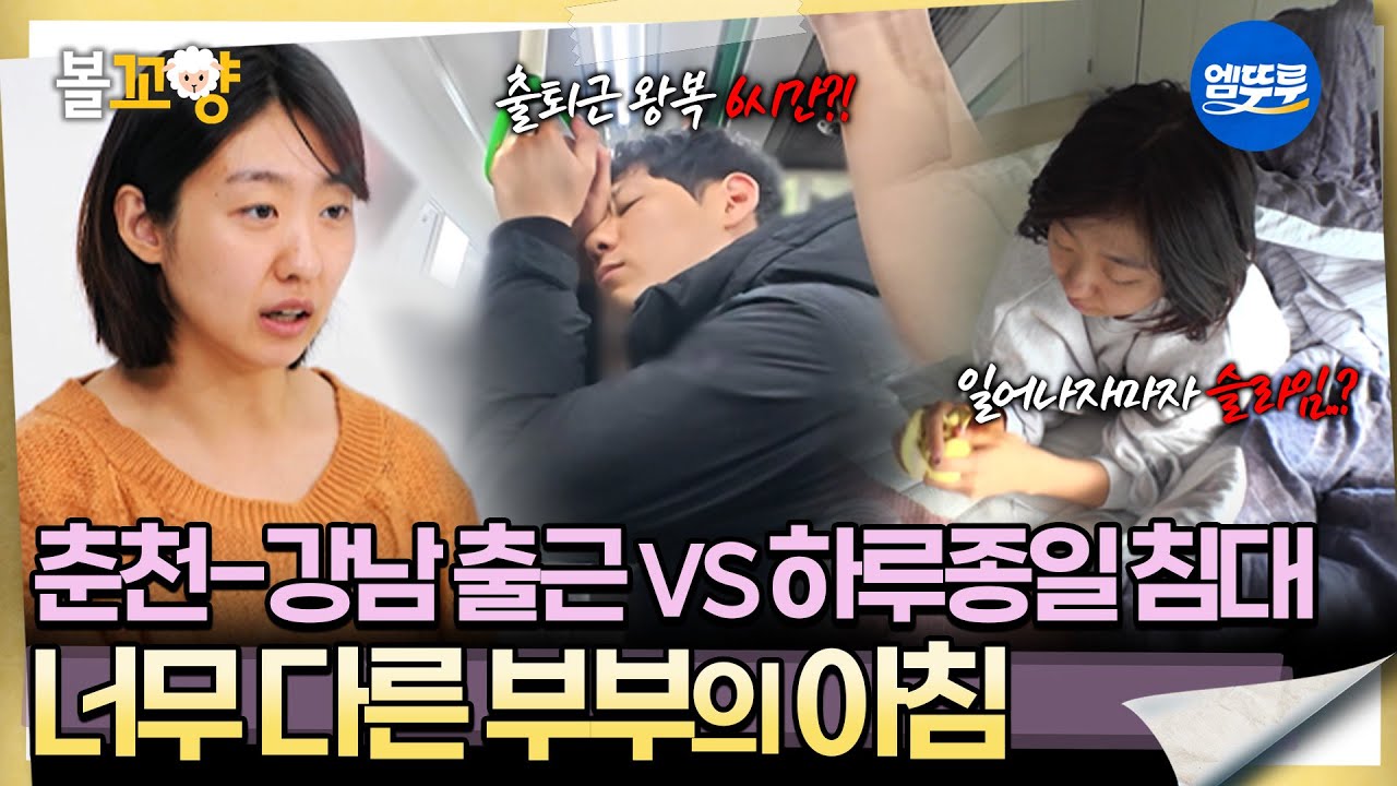 [오은영리포트 결혼지옥] 춘천-강남 출근vs하루종일 침대-집사 부부1-  #엠뚜루마뚜루 #볼꼬양 MBC251222방송