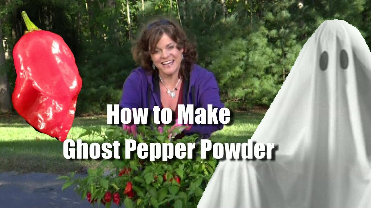 How to Make Ghost Pepper Powder (Bhut Jolakia) or any Chili Pepper