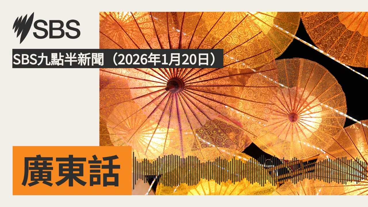 SBS九點半新聞（2026年1月20日） | SBS Cantonese - SBS廣東話節目