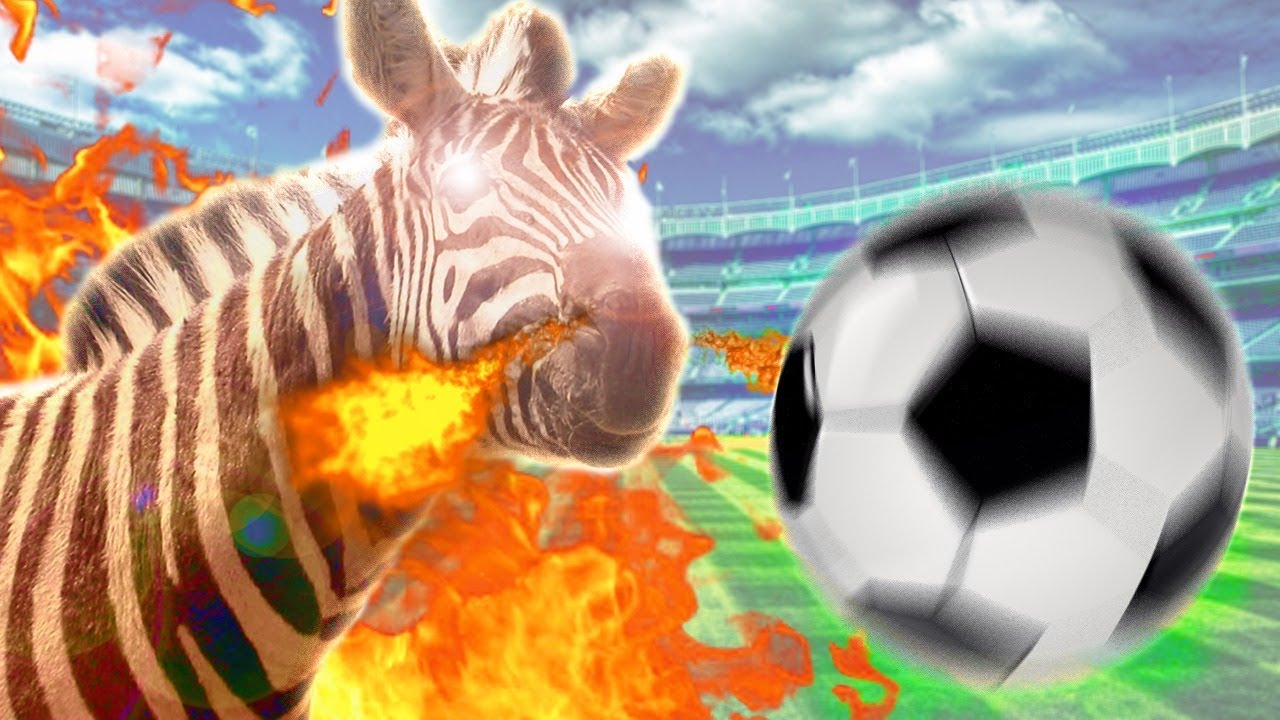 O Reino animal ta MALUCO!