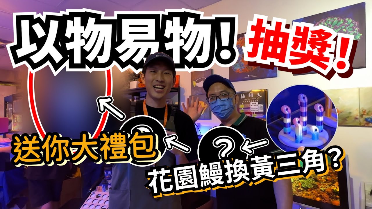 【藍箱水族】以物易物！看完就抽大禮包？～從花園鰻公仔換黃三角！能成功嗎？2025海水市集夏日加場～藍箱帶你玩！