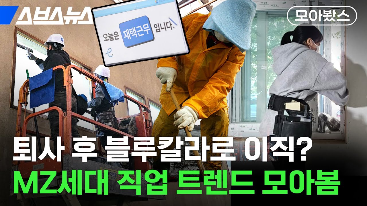 급속하게 바뀌고 있는 MZ 직업 트렌드 [모아봤스] / 스브스뉴스