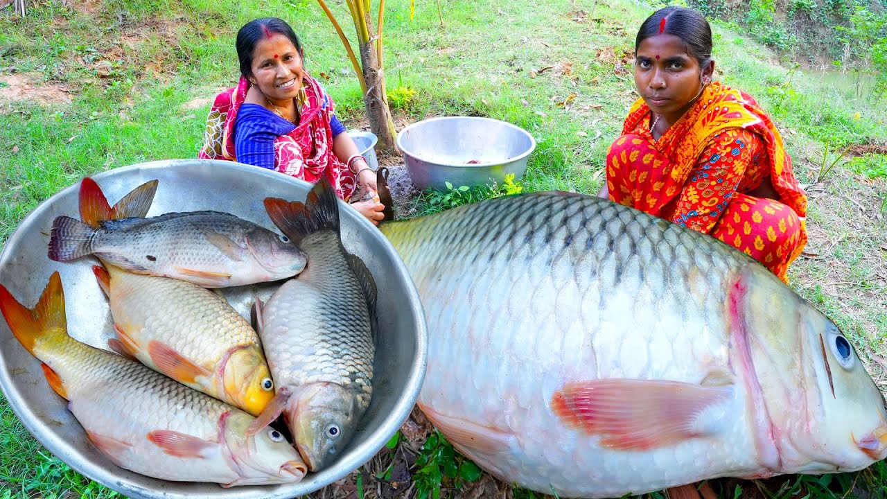 পুকুর থেকে বড়ো বড়ো মাছ ধরে রান্না | village style fishing and cooking | American big fish curry