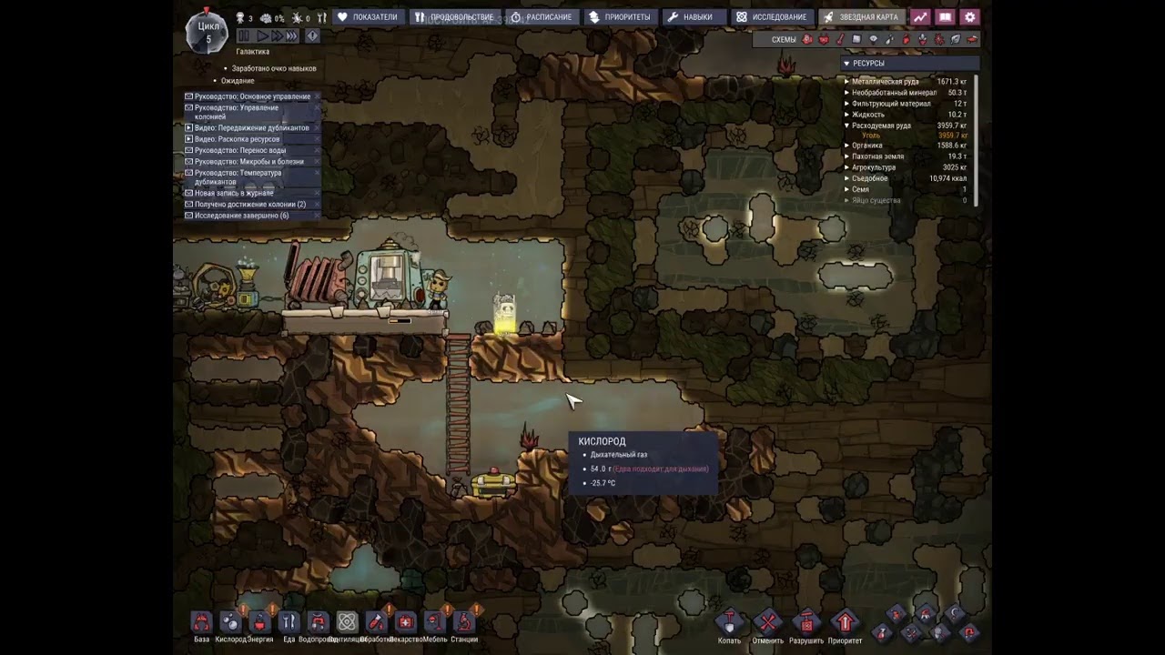 Oxygen Not Included Test