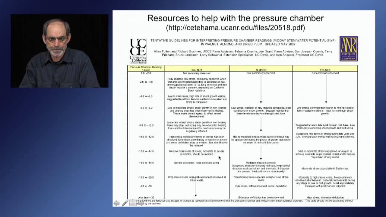 Crop water stress detection and monitoring