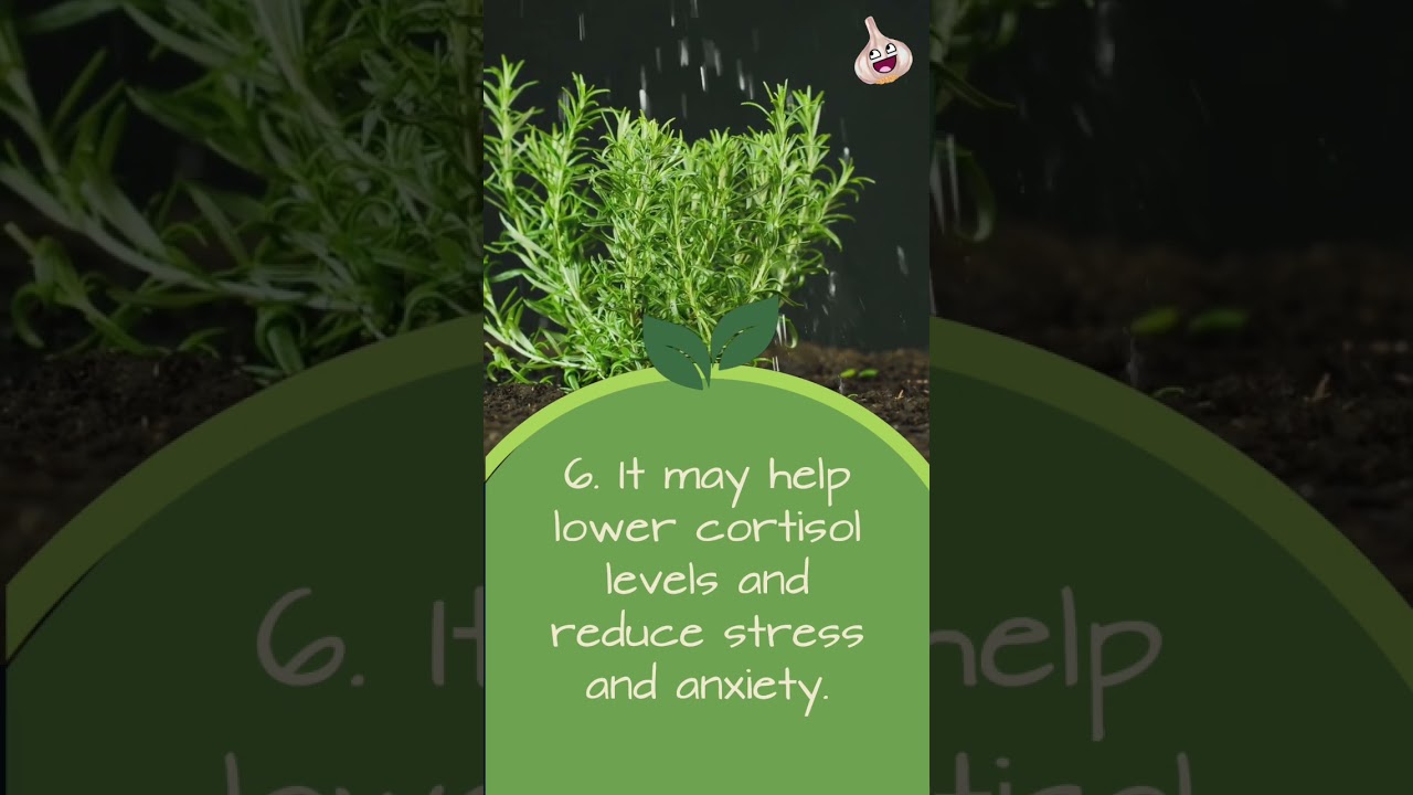 Rosemary&rsquo;s Top 10 Benefits 🥰 #rosemary