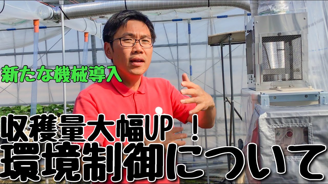 【ハウス栽培】環境制御についてと設備をご紹介【収穫量が変わる】
